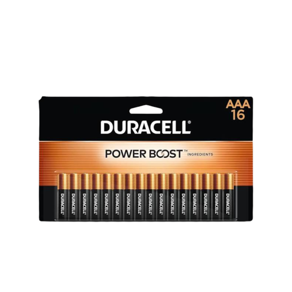 Duracell Coppertop AAA Alkaline Batteries, 16/Pack