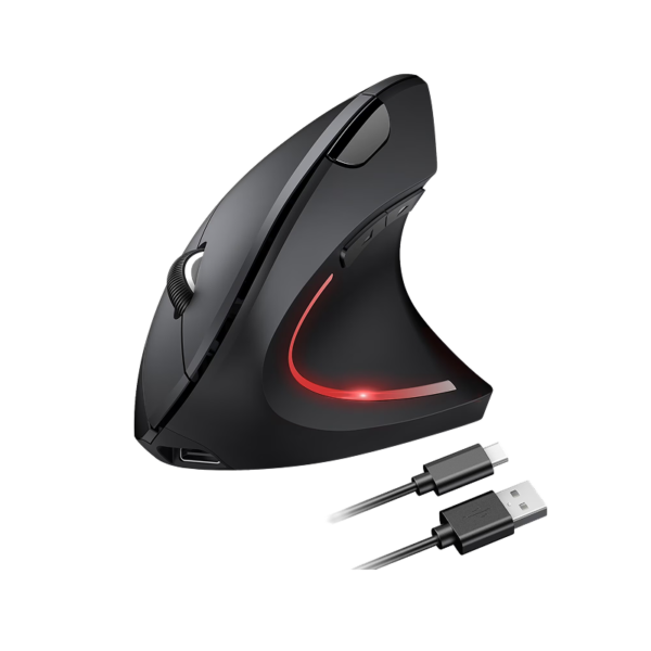 TECH Wireless Ergonomic Curved Optical USB Mouse, Black