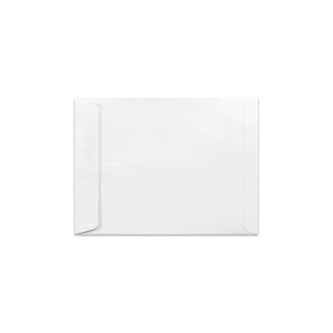 Salisbury VAMC 9 x 12 White Catalog Envelope